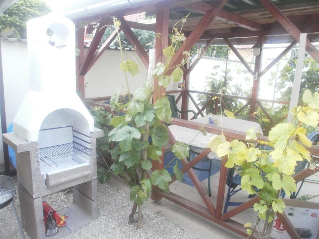 Ferienwohnung Gulyas Vendeghaz Bük Exterior foto